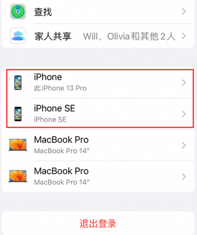 右江苹右江果维修网点分享iPhone如何查询序列号