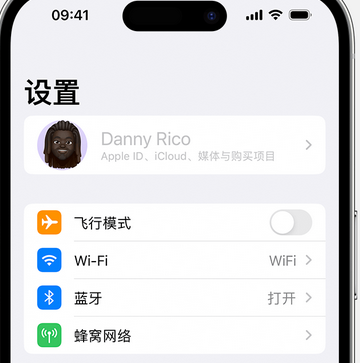 右江appleID维修服务iPhone设置中Apple ID显示为灰色无法使用 