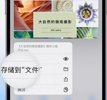 右江apple维修中心分享iPhone文件应用中存储和找到下载文件