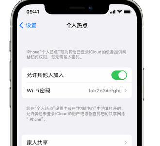 右江apple服务站点分享iPhone上个人热点丢失了怎么办 