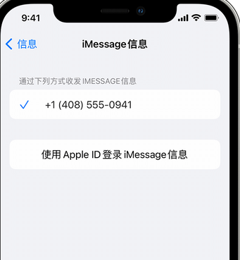 右江apple维修iPhone上无法正常发送iMessage信息 