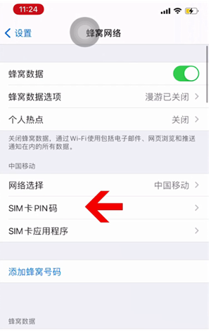 右江苹果14维修网分享如何给iPhone14的SIM卡设置密码 