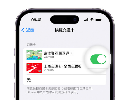 右江apple维修点分享iPhone上更换Apple Pay快捷交通卡手绘卡面 