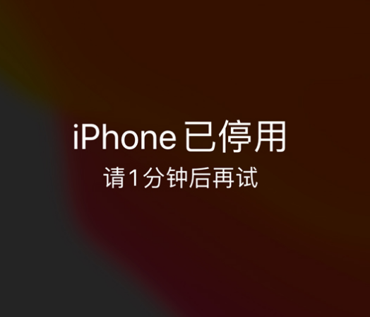 右江苹果手机维修分享:iPhone 显示“不可用”或“已停用”怎么办？还能保留数据吗？ 