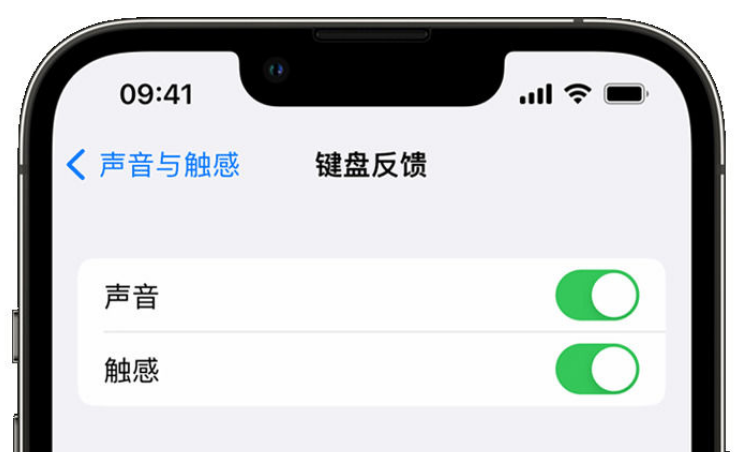 右江苹果手机维修分享iPhone 14触感键盘使用方法 