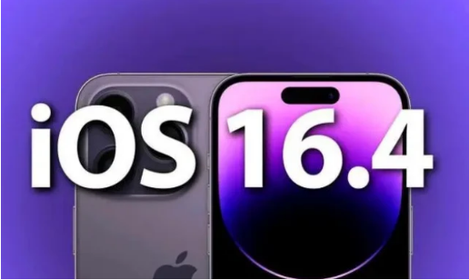 右江苹果14维修分享：iPhone14可以升级iOS16.4beta2吗？ 