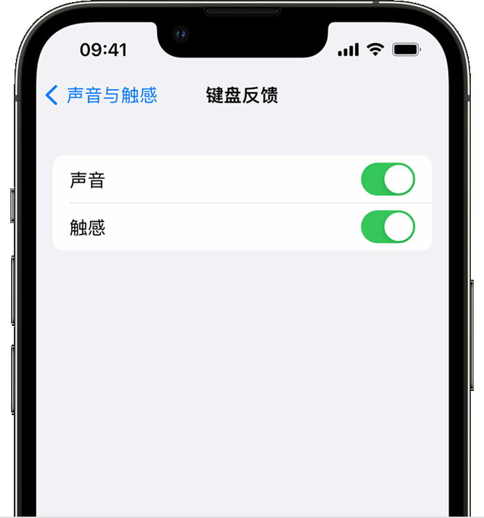 右江苹果14维修店分享如何在 iPhone 14 机型中使用触感键盘 