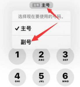 右江苹果14维修店分享iPhone 14 Pro Max使用副卡打电话的方法 