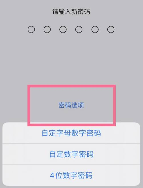 右江苹果14维修分享iPhone 14plus设置密码的方法 