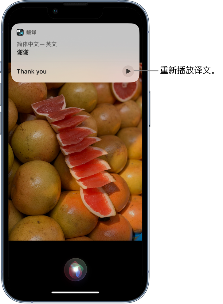 右江苹果14维修分享 iPhone 14 机型中使用 Siri：了解 Siri 能帮你做什么 