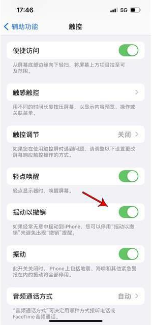 右江苹果手机维修分享iPhone手机如何设置摇一摇删除文字 